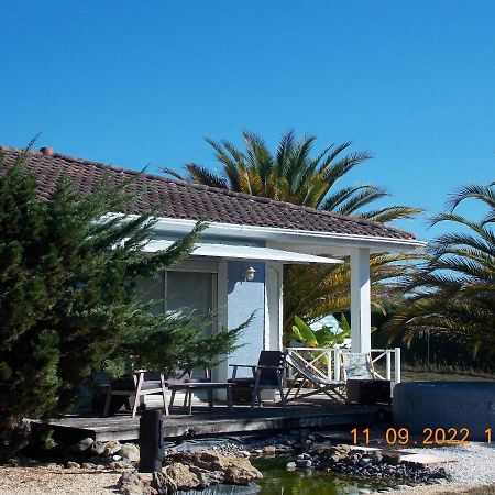 Maison Authentique Avec Spa Pres De Dax Et Son Jardin Villa Angoumé Dış mekan fotoğraf